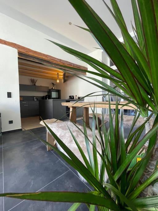 Mya Lenas Suite Irrel Exterior photo
